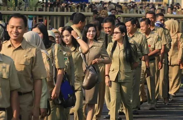 formasi cpns semua jurusan
