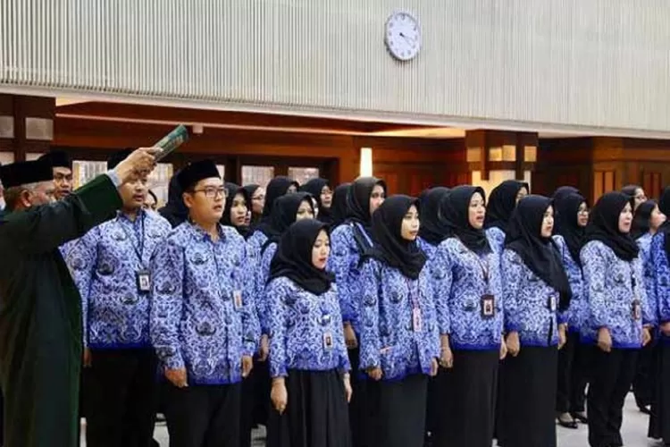 formasi cpns untuk lulusan s2