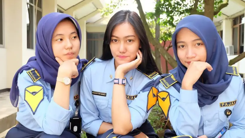 seragam pkn stan wanita