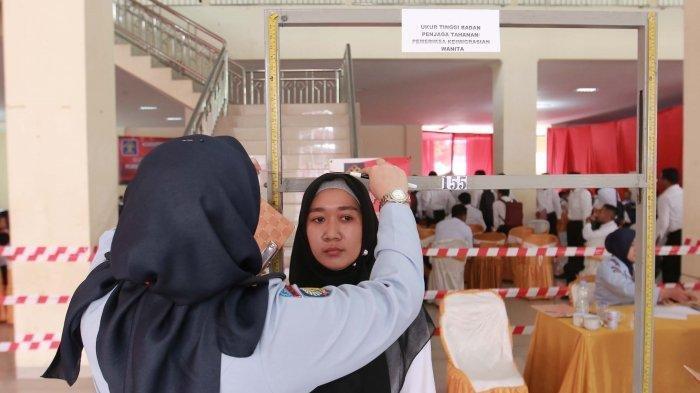 syarat tinggi badan kedinasan