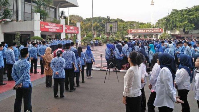 cek data nama honorer di bkn