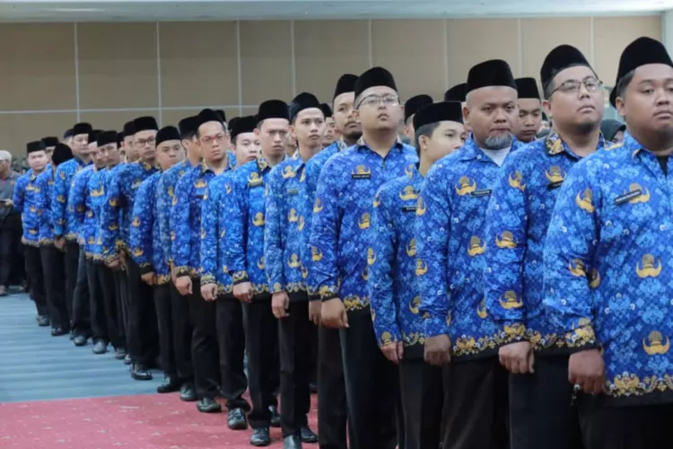 honorer tidak lulus pppk