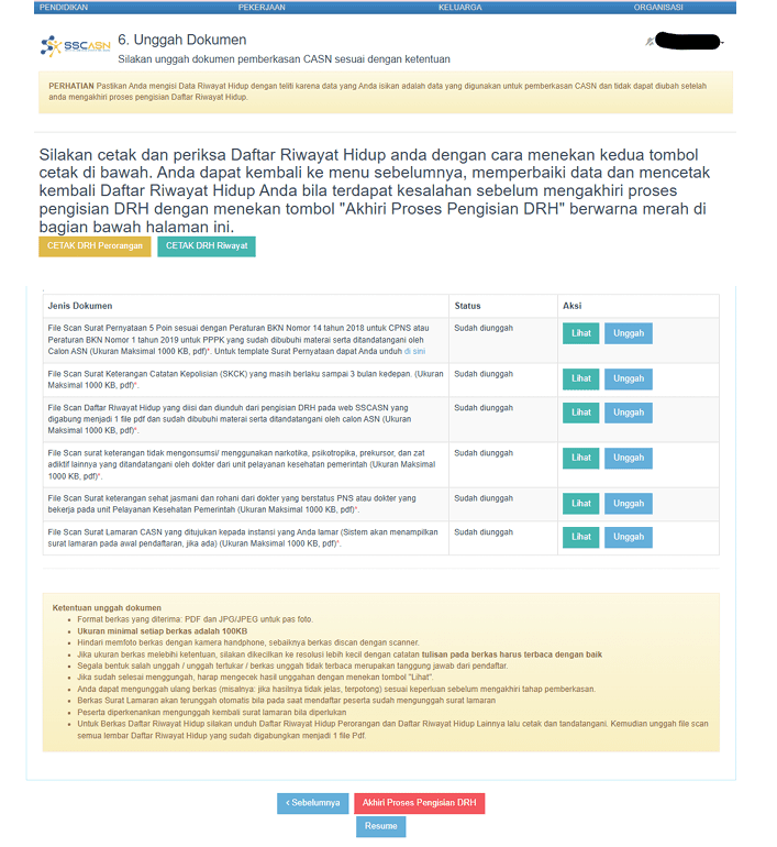 dokumen pengisian drh pppk