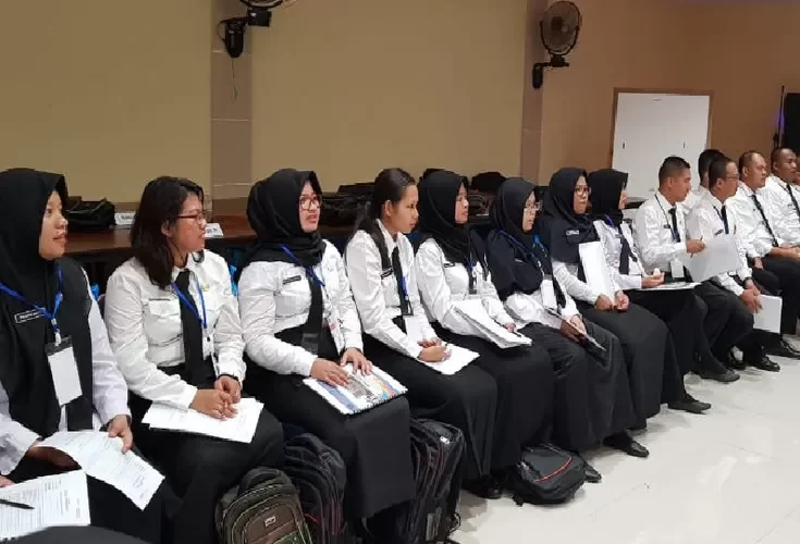 info terbaru bkn tentang pppk