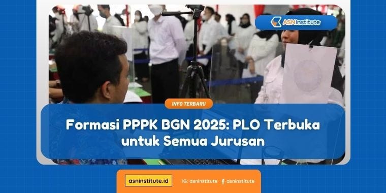 formasi pppk bgn 2025